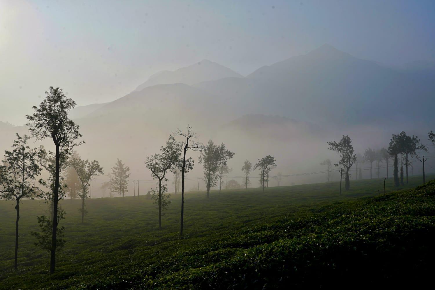 Padikkal Bungalow Vythiri Buitenkant foto