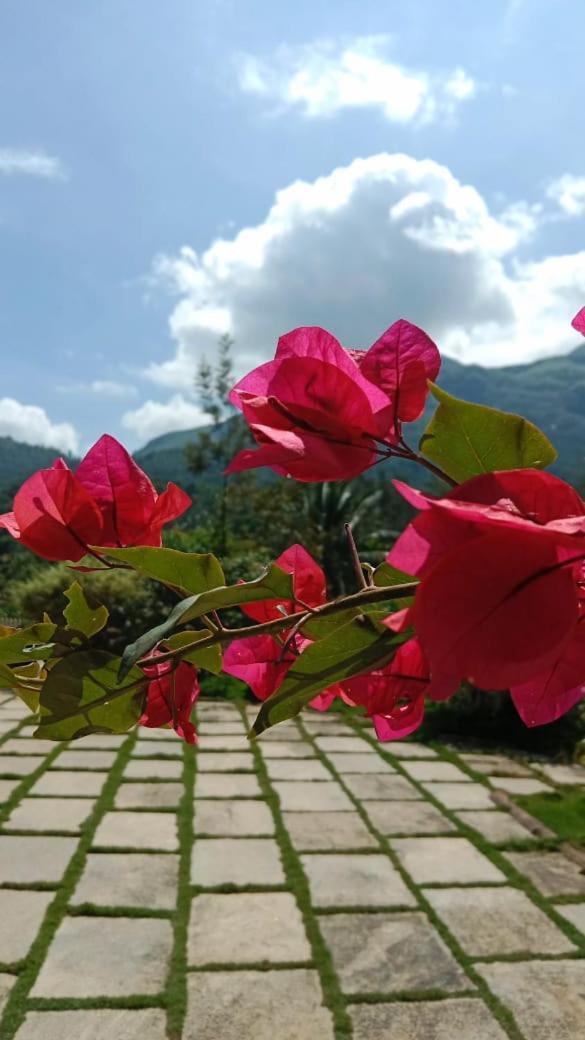 Padikkal Bungalow Vythiri Buitenkant foto