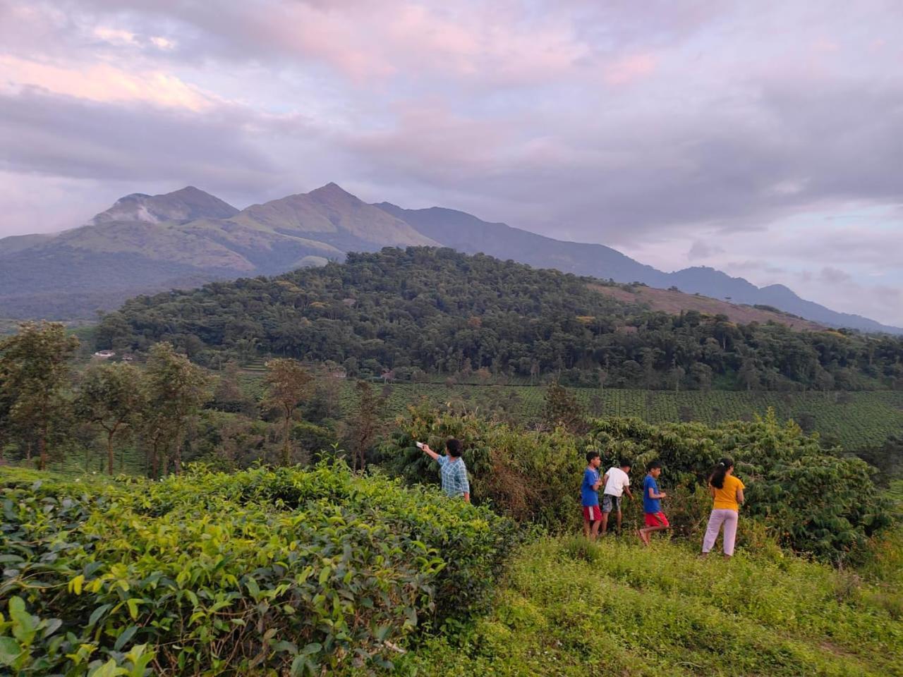 Padikkal Bungalow Vythiri Buitenkant foto